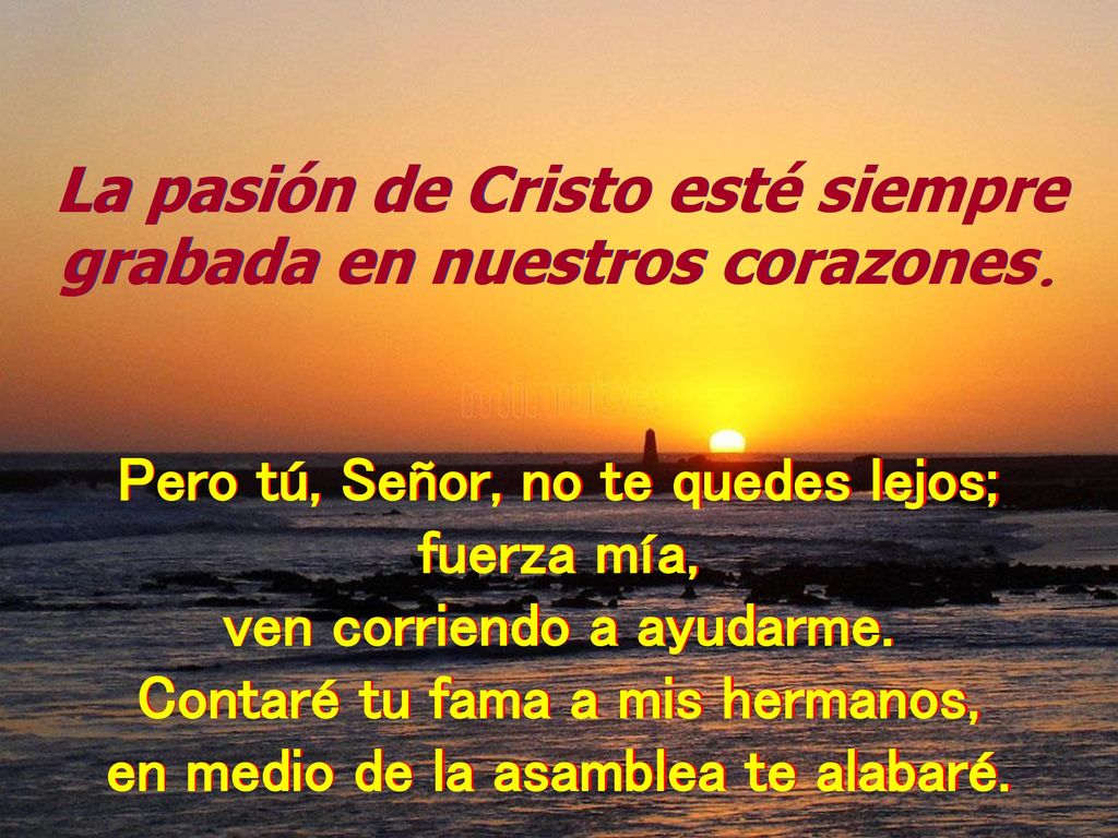 La pasión de Cristo esté siempre grabada en nuestros corazones.