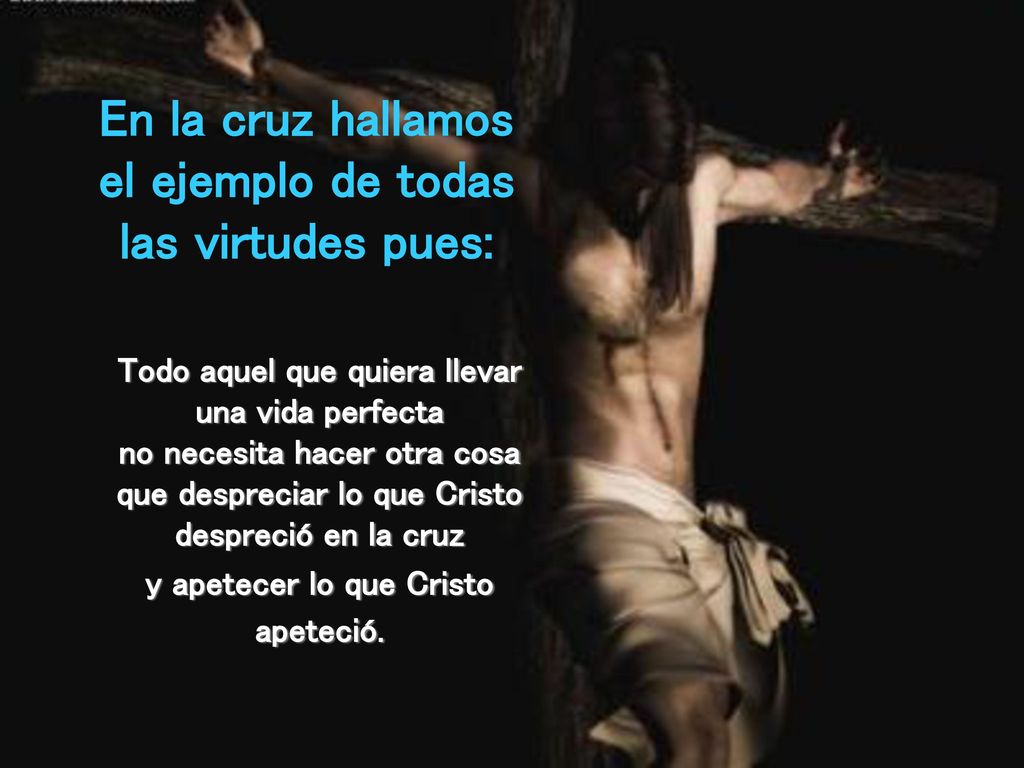 En la cruz hallamos el ejemplo de todas las virtudes pues: