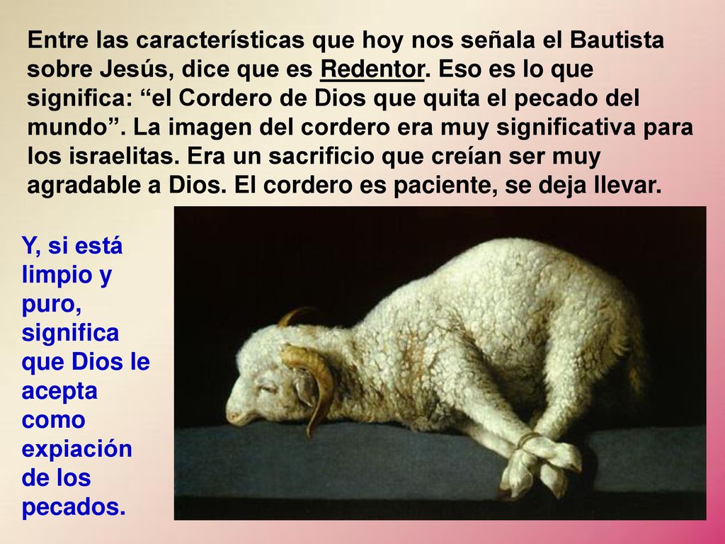 Entre las características que hoy nos señala el Bautista sobre Jesús, dice que es Redentor. Eso es lo que significa: el Cordero de Dios que quita el pecado del mundo . La imagen del cordero era muy significativa para los israelitas. Era un sacrificio que creían ser muy agradable a Dios. El cordero es paciente, se deja llevar.