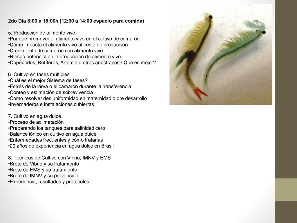 2do Día 8:00 a 18:00h (12:00 a 14:00 espacio para comida)
