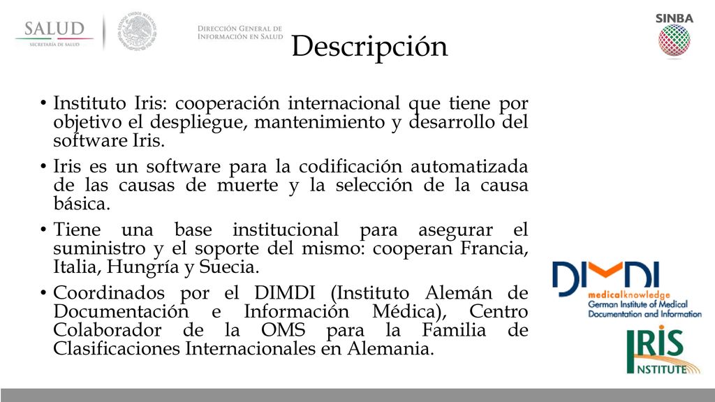 Descripción Instituto Iris: cooperación internacional que tiene por objetivo el despliegue, mantenimiento y desarrollo del software Iris.
