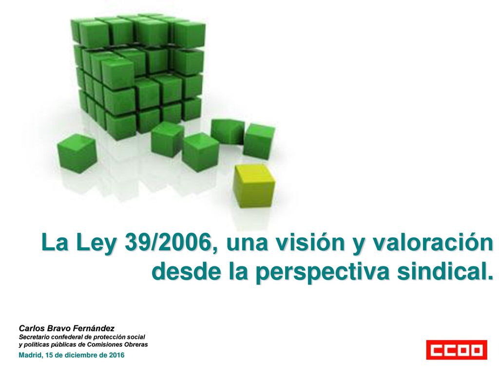 La Ley 39/2006, una visión y valoración desde la perspectiva sindical.