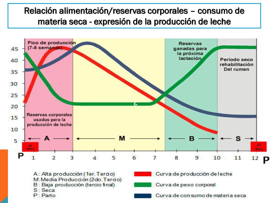 Relación alimentación/reservas corporales – consumo de materia seca - expresión de la producción de leche