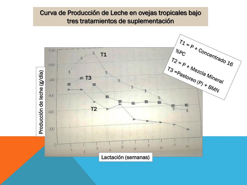 Curva de Producción de Leche en ovejas tropicales bajo tres tratamientos de suplementación