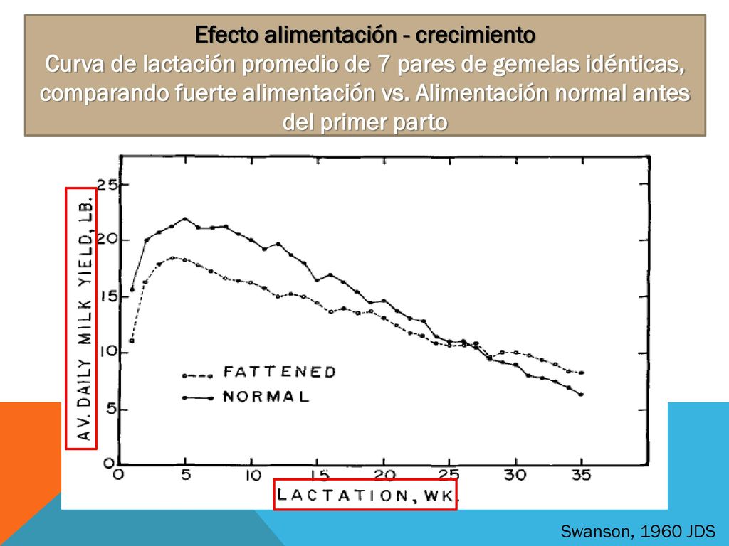 Efecto alimentación - crecimiento Curva de lactación promedio de 7 pares de gemelas idénticas, comparando fuerte alimentación vs. Alimentación normal antes del primer parto