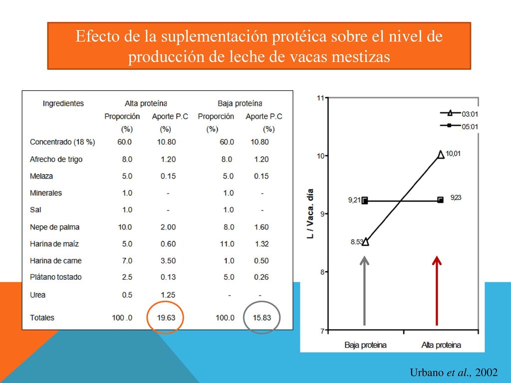 Efecto de la suplementación protéica sobre el nivel de producción de leche de vacas mestizas