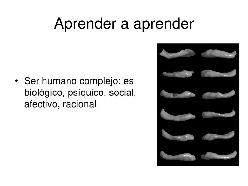 Aprender a aprender Ser humano complejo: es biológico, psíquico, social, afectivo, racional