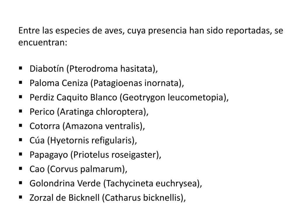 Entre las especies de aves, cuya presencia han sido reportadas, se encuentran: