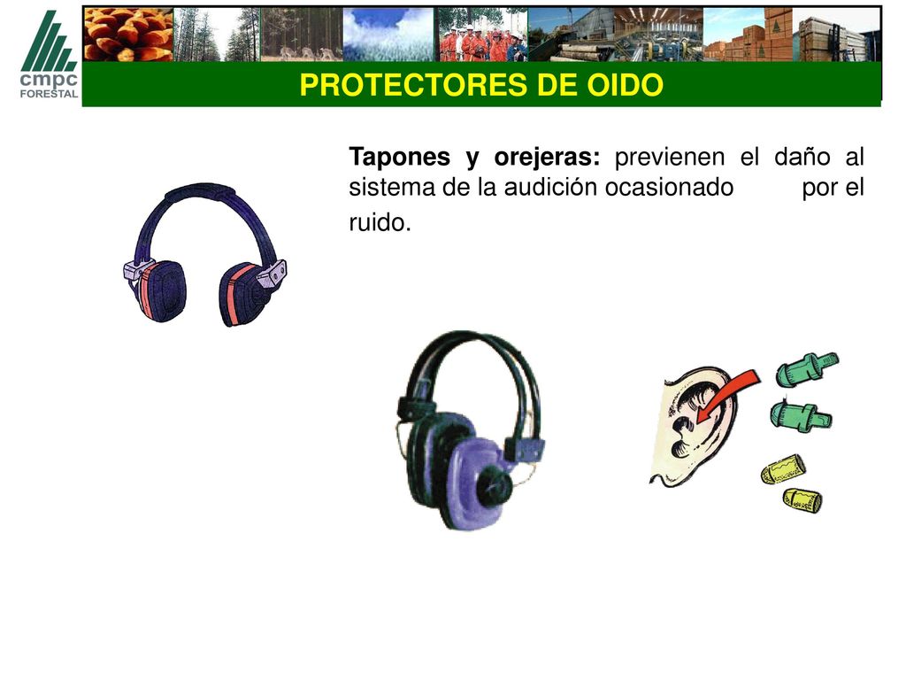PROTECTORES DE OIDO Tapones y orejeras: previenen el daño al sistema de la audición ocasionado por el ruido.
