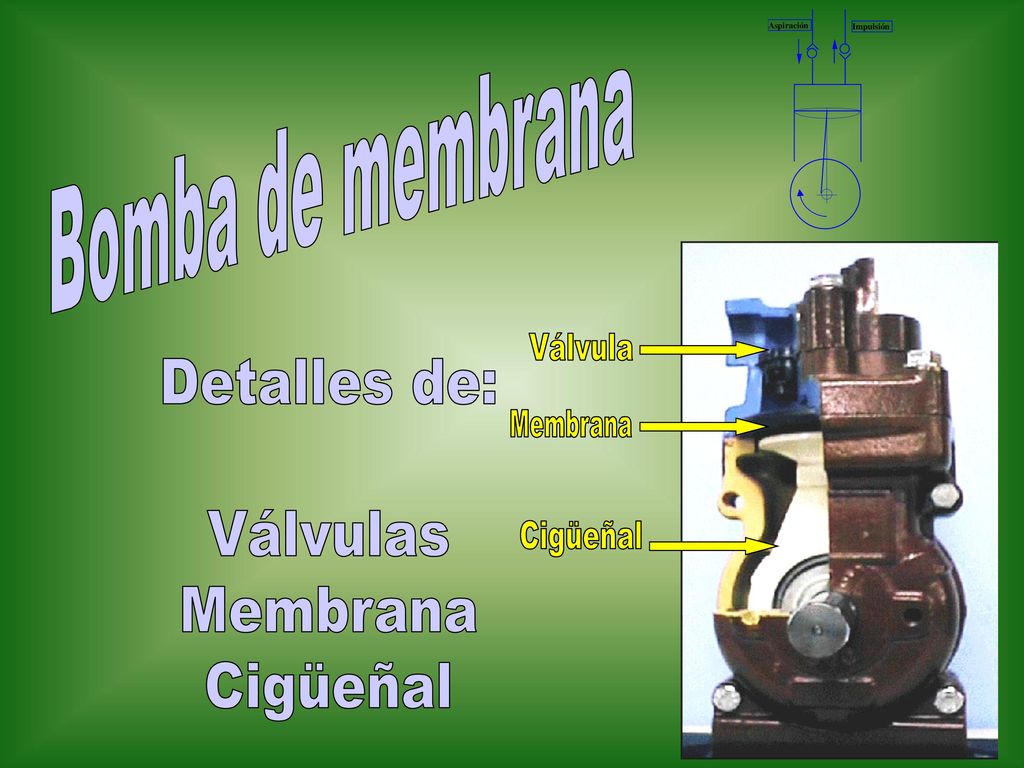 Bomba de membrana Válvula Detalles de: Válvulas Membrana Cigüeñal Membrana Cigüeñal