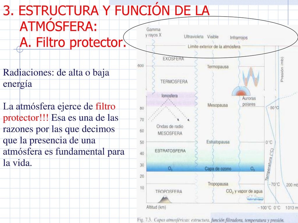 3. ESTRUCTURA Y FUNCIÓN DE LA ATMÓSFERA: A. Filtro protector.