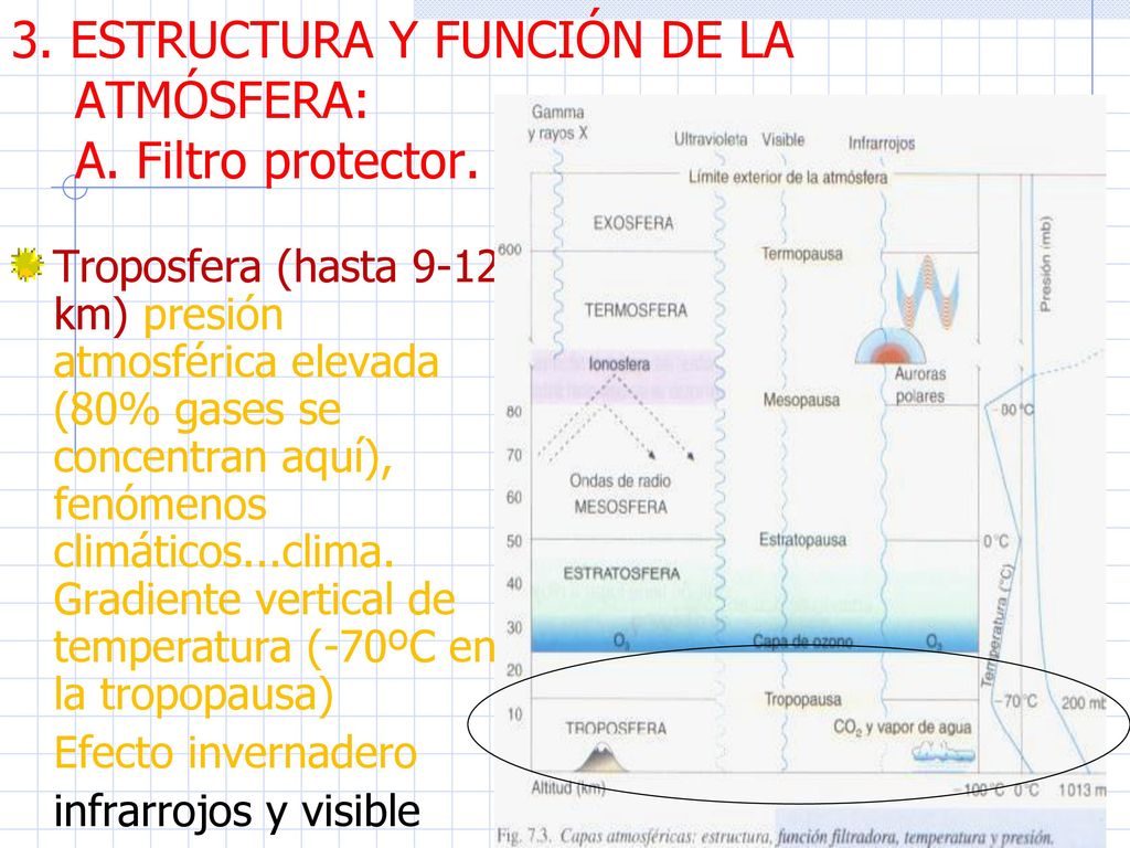 3. ESTRUCTURA Y FUNCIÓN DE LA ATMÓSFERA: A. Filtro protector.