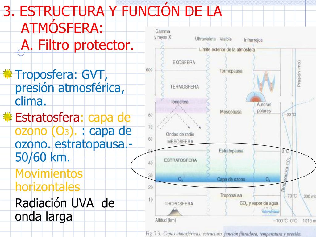 3. ESTRUCTURA Y FUNCIÓN DE LA ATMÓSFERA: A. Filtro protector.