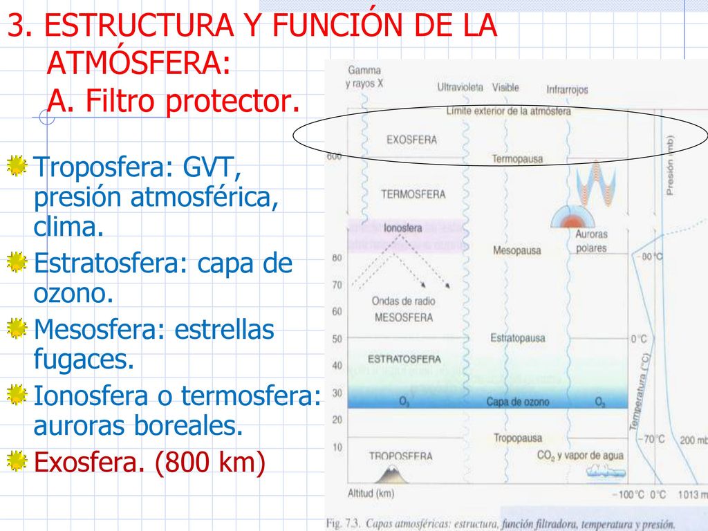 3. ESTRUCTURA Y FUNCIÓN DE LA ATMÓSFERA: A. Filtro protector.