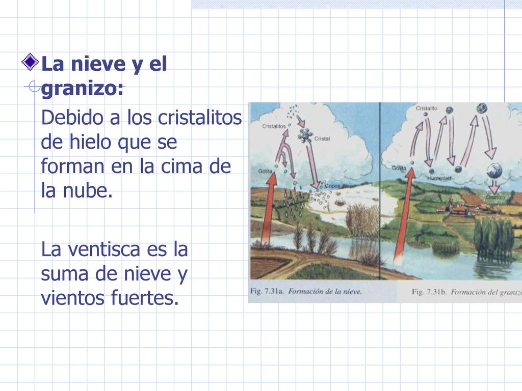 La nieve y el granizo: Debido a los cristalitos de hielo que se forman en la cima de la nube.