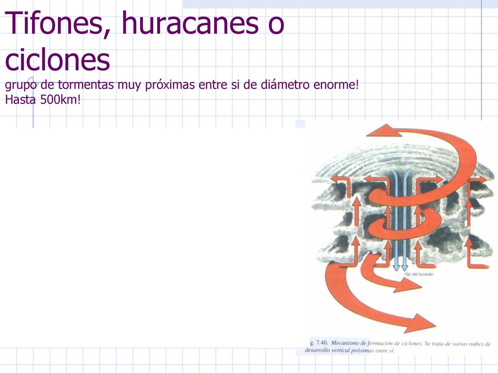 Tifones, huracanes o ciclones grupo de tormentas muy próximas entre si de diámetro enorme.