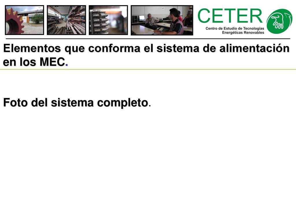 Elementos que conforma el sistema de alimentación en los MEC.