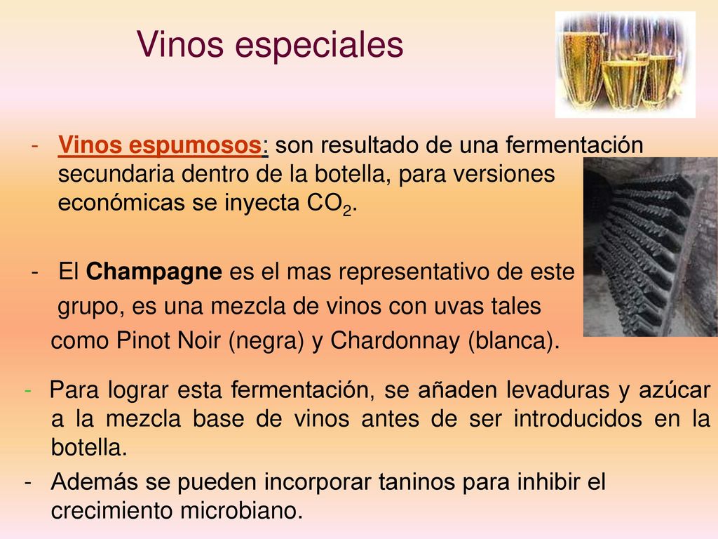 Vinos especiales Vinos espumosos: son resultado de una fermentación secundaria dentro de la botella, para versiones económicas se inyecta CO2.