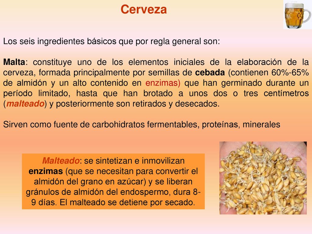 Cerveza Los seis ingredientes básicos que por regla general son: