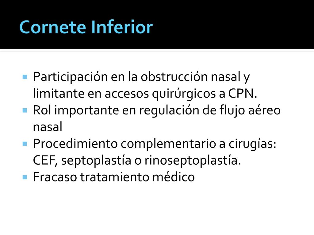 Cornete Inferior Participación en la obstrucción nasal y limitante en accesos quirúrgicos a CPN. Rol importante en regulación de flujo aéreo nasal.
