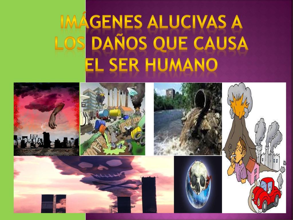 IMÁGENES ALUCIVAS A LOS DAÑOS QUE CAUSA EL SER HUMANO