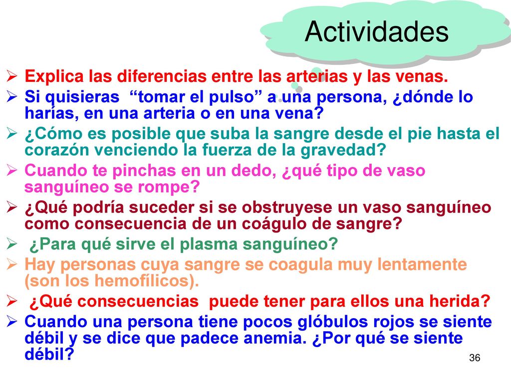 Actividades Explica las diferencias entre las arterias y las venas.