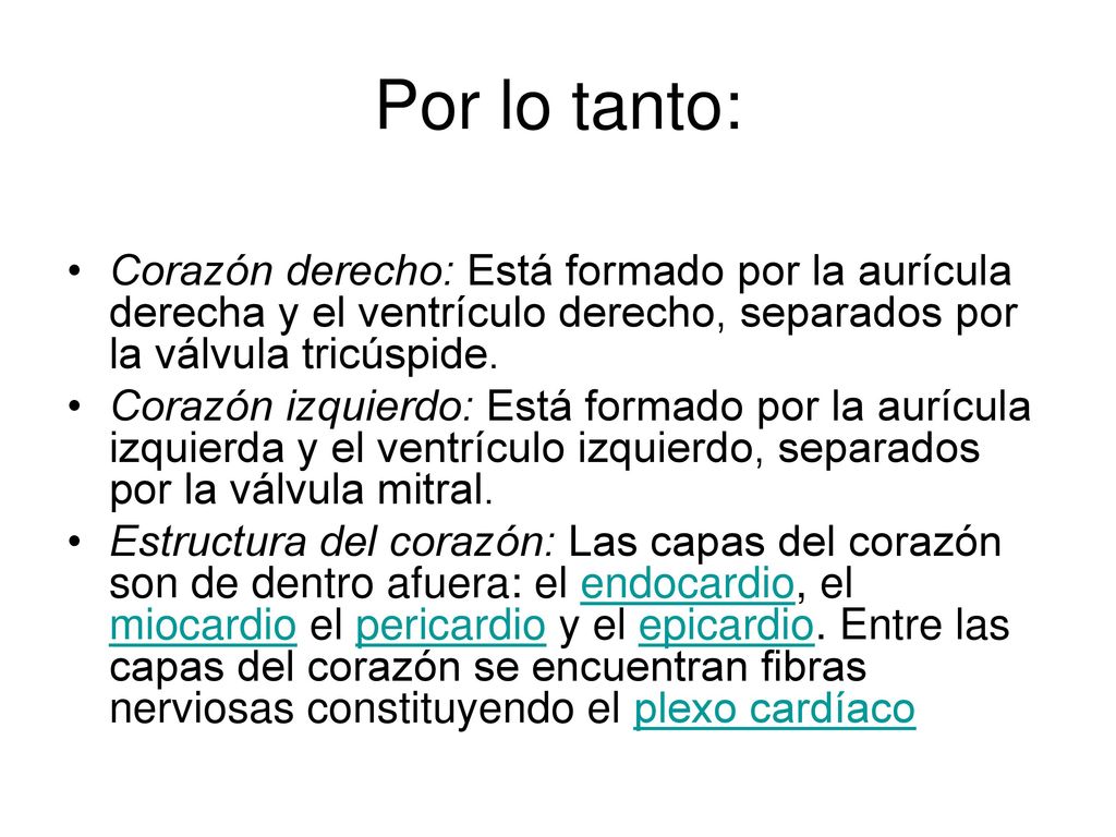 Por lo tanto: Corazón derecho: Está formado por la aurícula derecha y el ventrículo derecho, separados por la válvula tricúspide.
