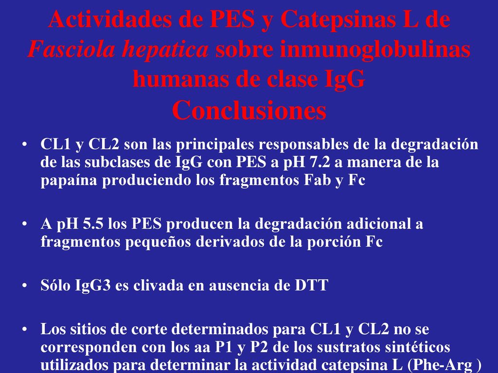Actividades de PES y Catepsinas L de Fasciola hepatica sobre inmunoglobulinas humanas de clase IgG Conclusiones