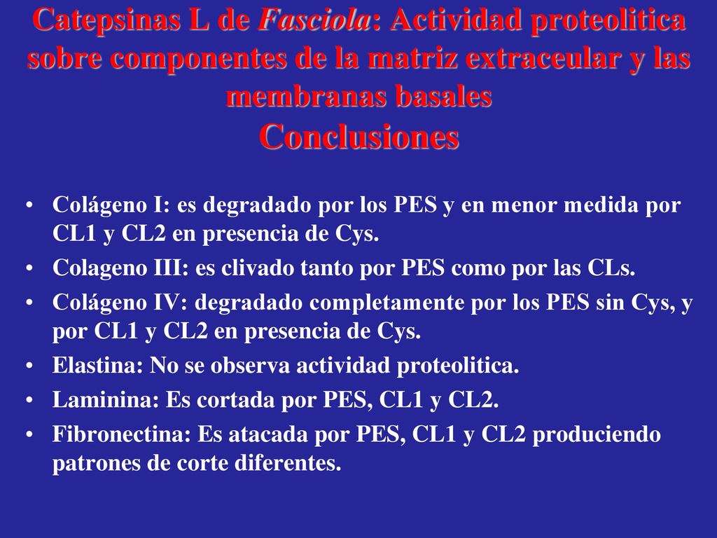 Catepsinas L de Fasciola: Actividad proteolitica sobre componentes de la matriz extraceular y las membranas basales Conclusiones