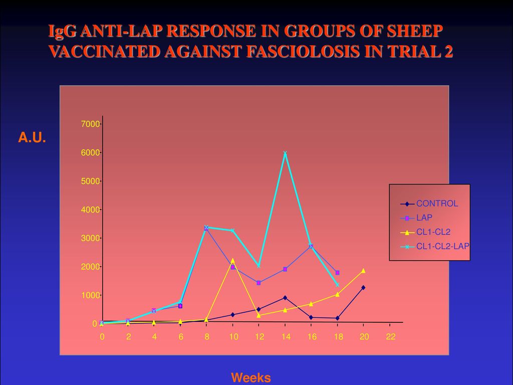 IgG ANTI-LAP RESPONSE IN GROUPS OF SHEEP VACCINATED AGAINST FASCIOLOSIS IN TRIAL 2