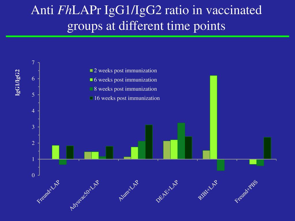 Anti FhLAPr IgG1/IgG2 ratio in vaccinated groups at different time points