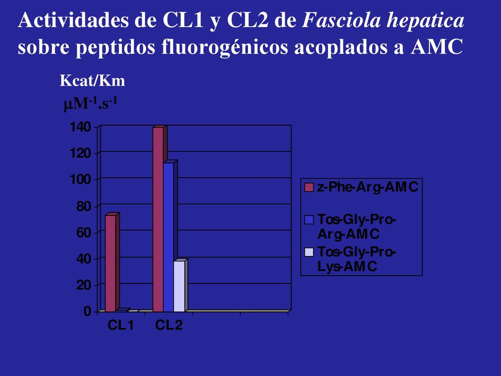 Actividades de CL1 y CL2 de Fasciola hepatica sobre peptidos fluorogénicos acoplados a AMC Kcat/Km M-1.s-1