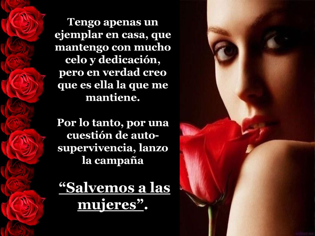 Tengo apenas un ejemplar en casa, que mantengo con mucho celo y dedicación, pero en verdad creo que es ella la que me mantiene.