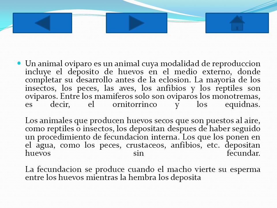 Un animal oviparo es un animal cuya modalidad de reproduccion incluye el deposito de huevos en el medio externo, donde completar su desarrollo antes de la eclosion.