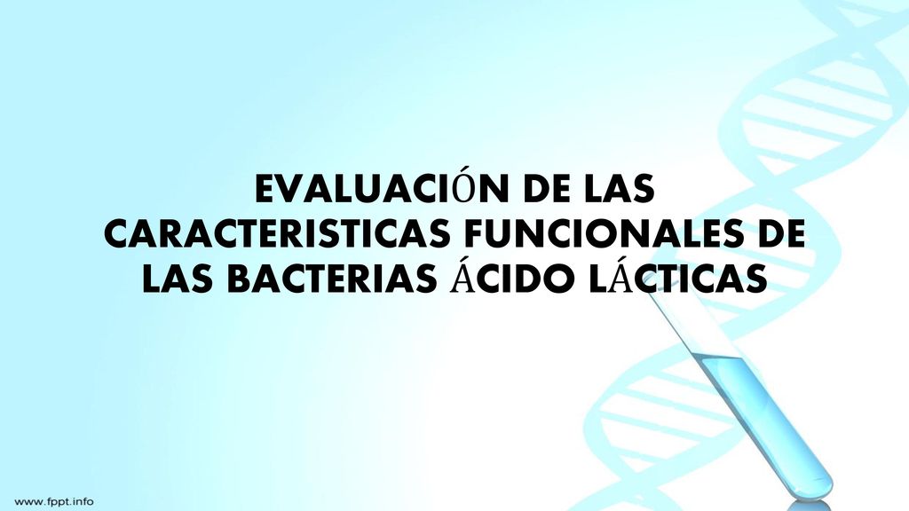 EVALUACIÓN DE LAS CARACTERISTICAS FUNCIONALES DE LAS BACTERIAS ÁCIDO LÁCTICAS