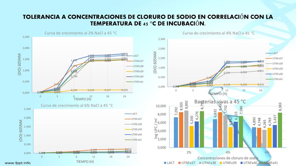 TOLERANCIA A CONCENTRACIONES DE CLORURO DE SODIO EN CORRELACIÓN CON LA TEMPERATURA DE 45 °C DE INCUBACIÓN.