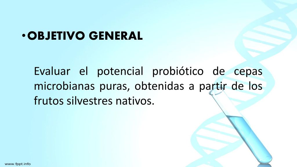 Objetivo general Evaluar el potencial probiótico de cepas microbianas puras, obtenidas a partir de los frutos silvestres nativos.