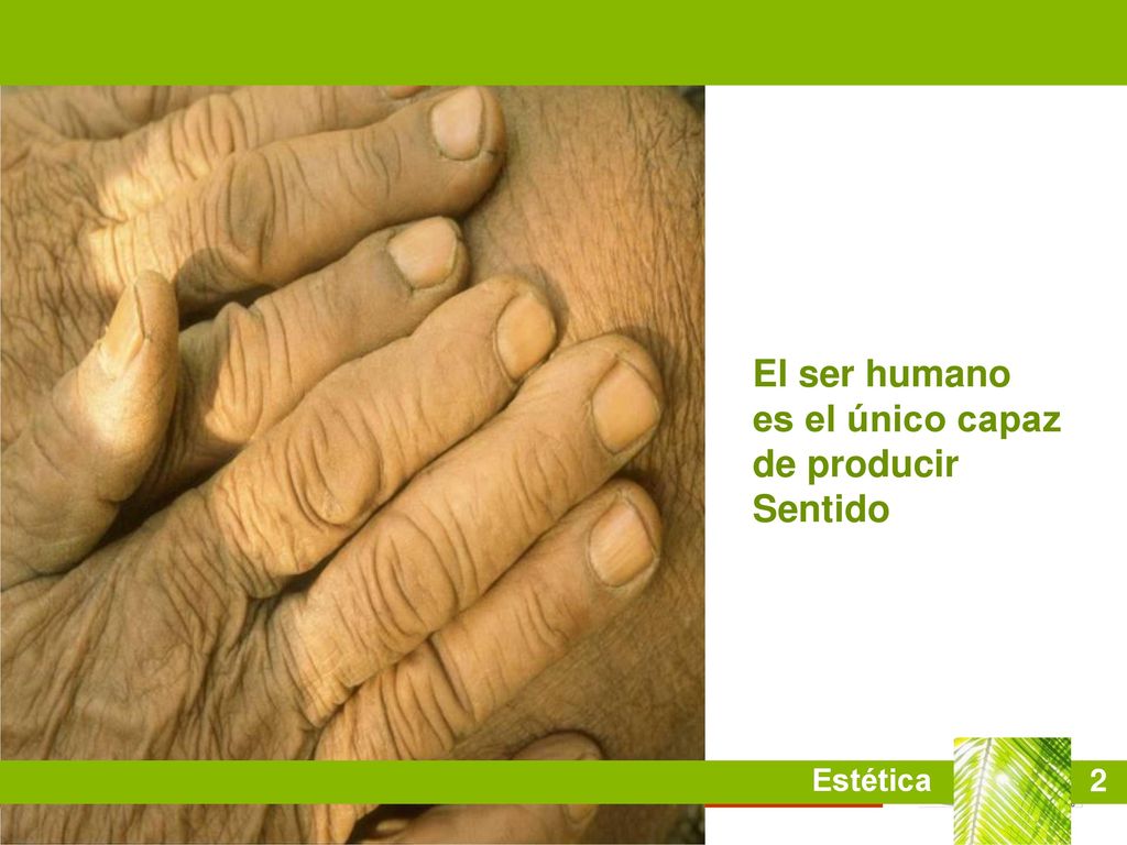 El ser humano es el único capaz de producir Sentido Estética 2