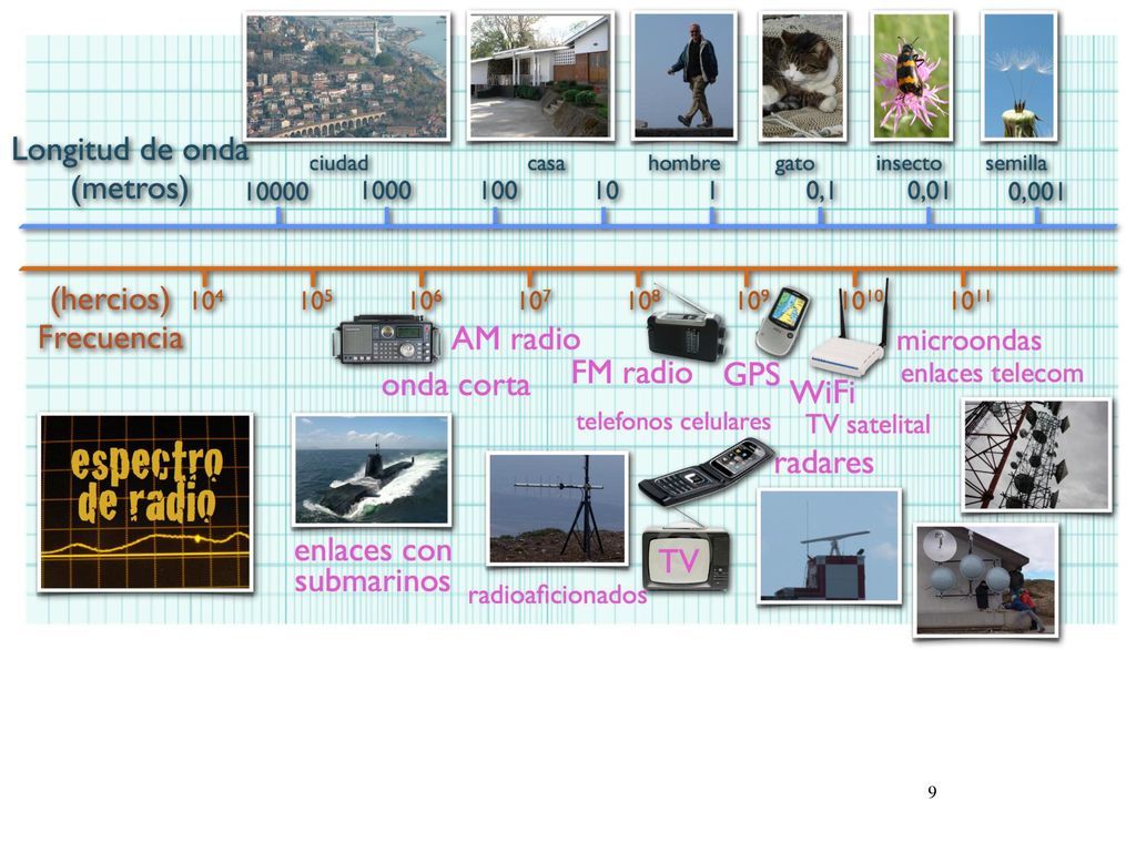 La gráfica representa algunas d la aplicaciones del espectro electromagnético.