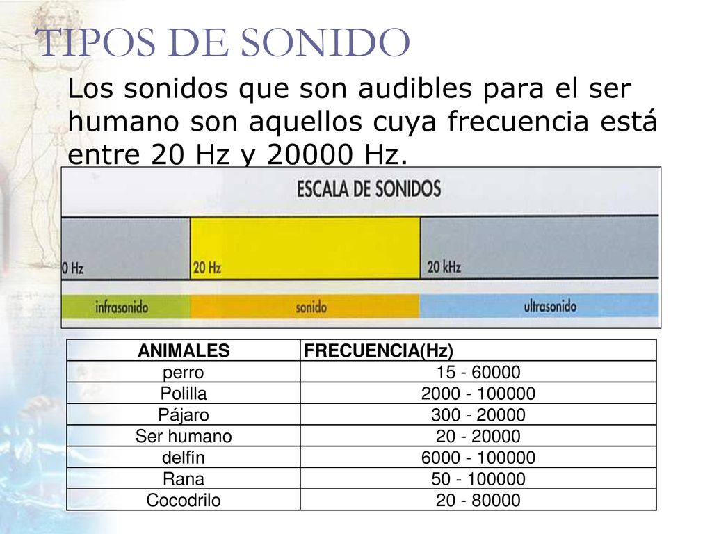 TIPOS DE SONIDO Los sonidos que son audibles para el ser humano son aquellos cuya frecuencia está entre 20 Hz y Hz.