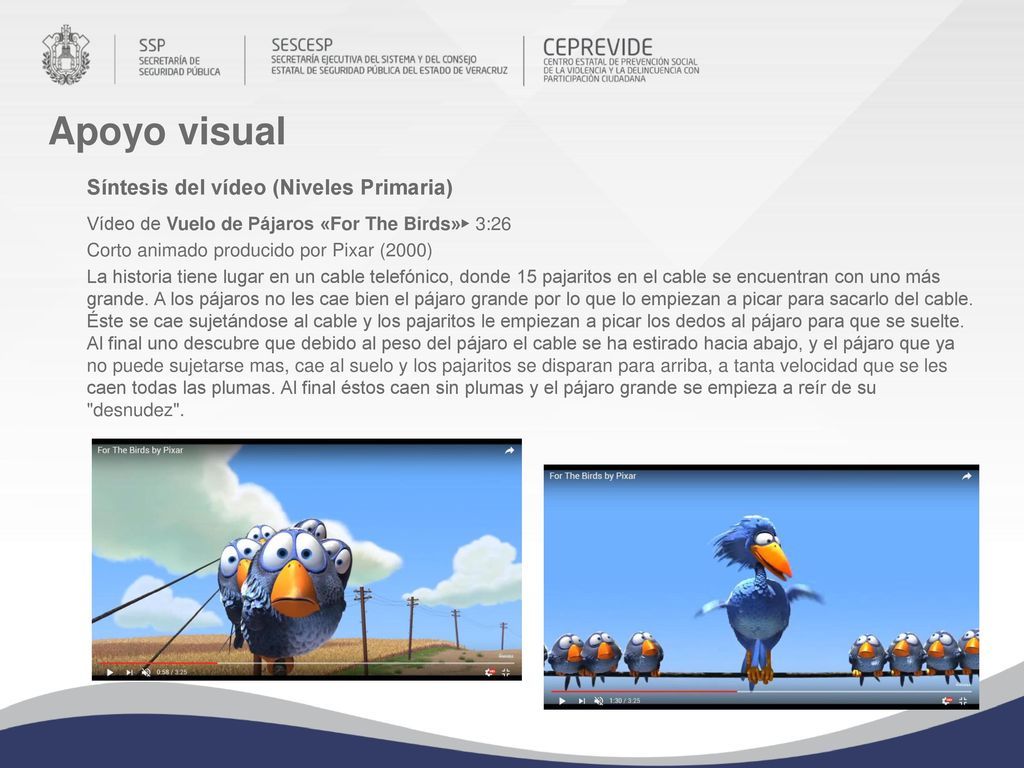 Apoyo visual Síntesis del vídeo (Niveles Primaria)