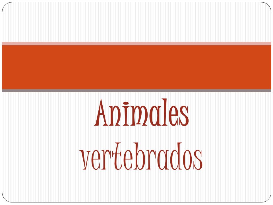 Animales vertebrados