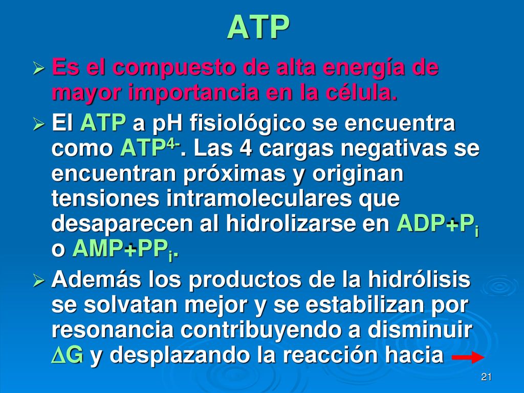 ATP Es el compuesto de alta energía de mayor importancia en la célula.