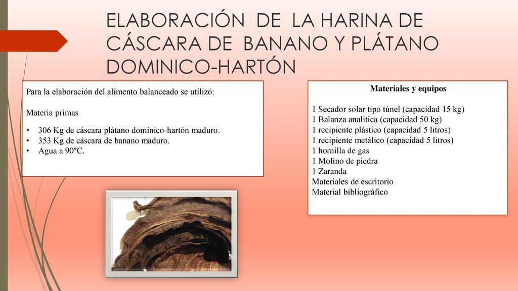 ELABORACIÓN DE LA HARINA DE CÁSCARA DE BANANO Y PLÁTANO DOMINICO-HARTÓN