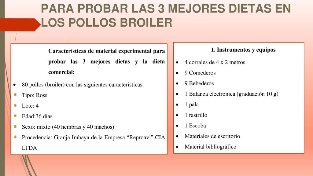 para probar las 3 mejores dietas en los pollos broiler