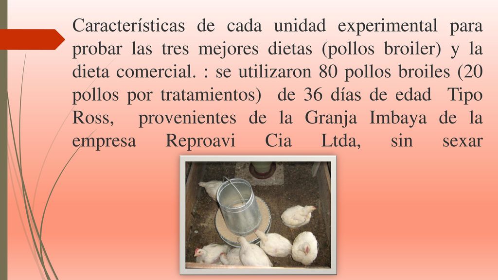 Características de cada unidad experimental para probar las tres mejores dietas (pollos broiler) y la dieta comercial.