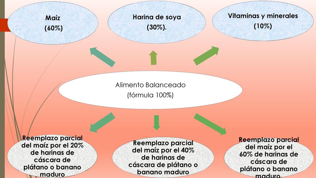 Alimento Balanceado (fórmula 100%) Harina de soya. (30%). Vitaminas y minerales. (10%)