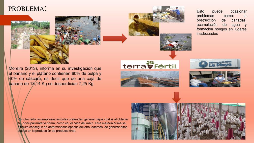 PROBLEMA: Esto puede ocasionar problemas como: la obstrucción de cañadas, acumulación de agua y formación hongos en lugares inadecuados.