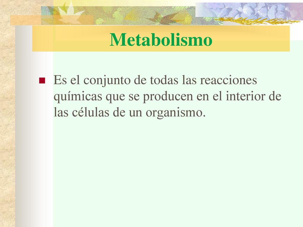 Metabolismo Es el conjunto de todas las reacciones químicas que se producen en el interior de las células de un organismo.
