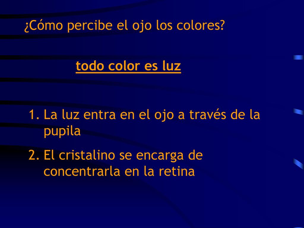 ¿Cómo percibe el ojo los colores